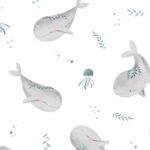 Coton Baleine